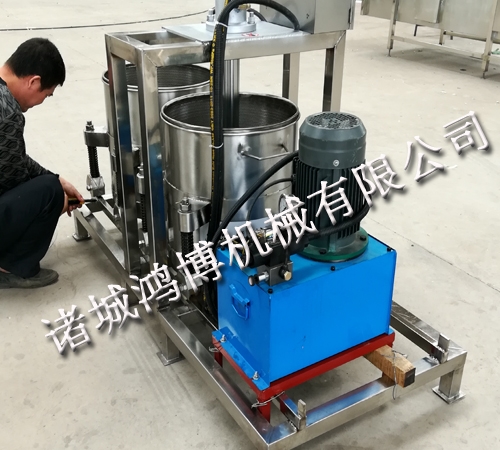 蔬菜壓(yā)榨機