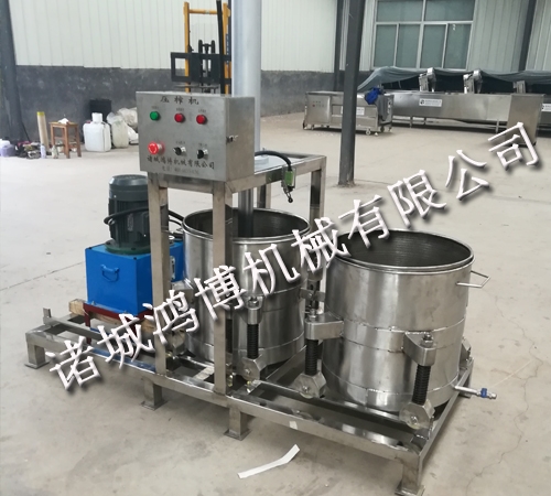 水(shuǐ)果液壓壓榨機