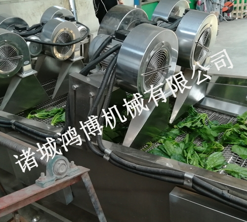 清洗風幹流水線(xiàn)