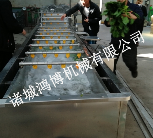 高(gāo)效率氣泡清洗線