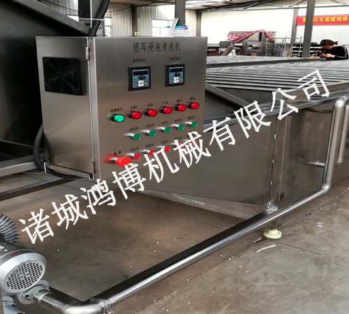 海(hǎi)鮮(xiān)類清洗機