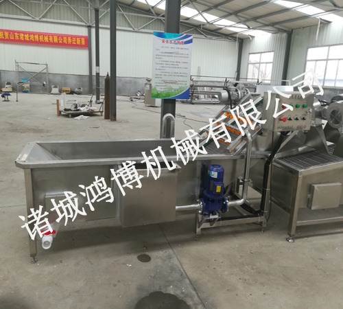 葉菜蔬菜氣(qì)泡清洗機