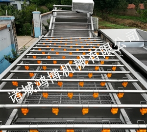 專業蔬菜清洗機（jī）