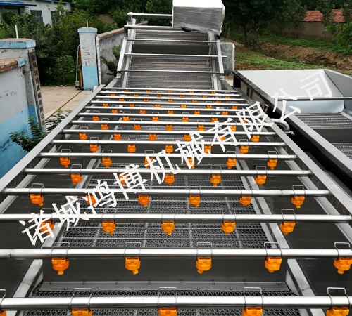 專業蔬菜清洗機