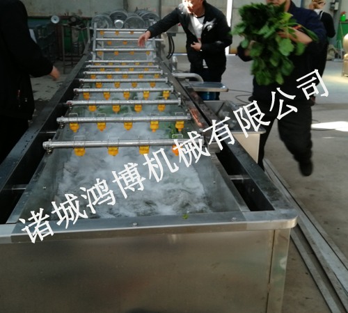 木耳噴(pēn)淋清洗機