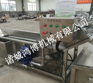 西（xī）紅柿氣泡（pào）清洗機