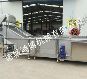 大型商用蔬菜清洗機（jī）