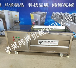 板栗清洗去（qù）皮（pí）機