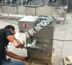 工業商業蘋果削皮設備